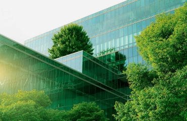 image-about-eco-friendly-materials-green-building-mexico