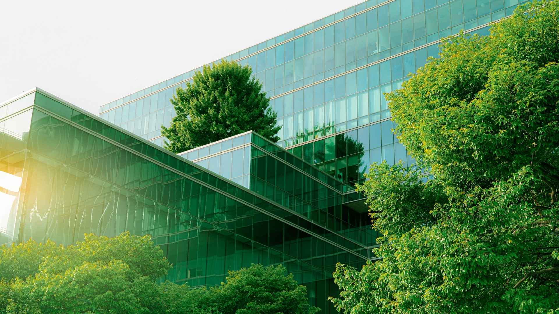 image-about-eco-friendly-materials-green-building-mexico