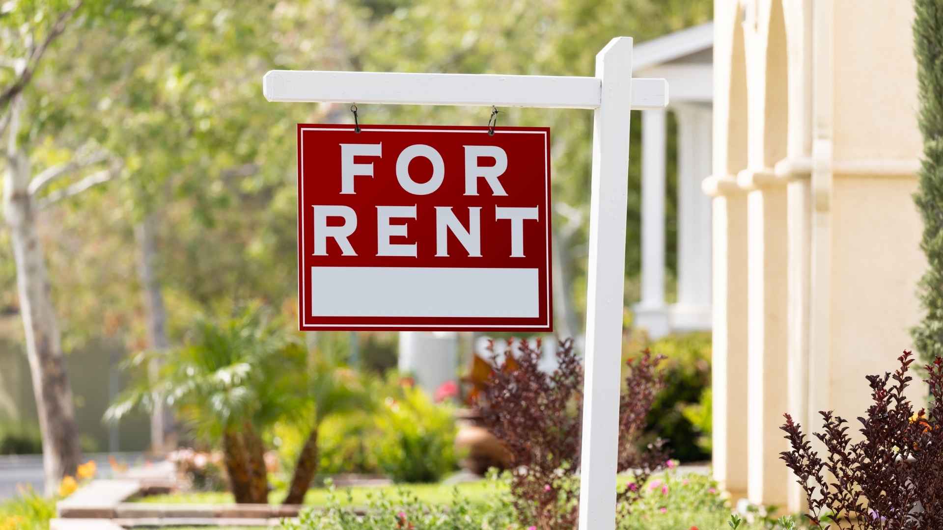 Rental Market Research and Business Plan Preparation img